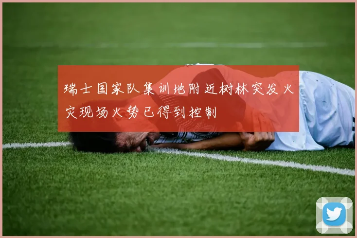 瑞士国家队集训地附近树林突发火灾现场火势已得到控制
