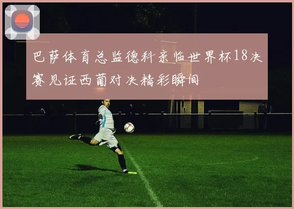 巴萨体育总监德科亲临世界杯18决赛见证西葡对决精彩瞬间