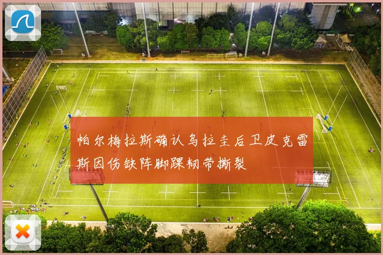 帕尔梅拉斯确认乌拉圭后卫皮克雷斯因伤缺阵脚踝韧带撕裂